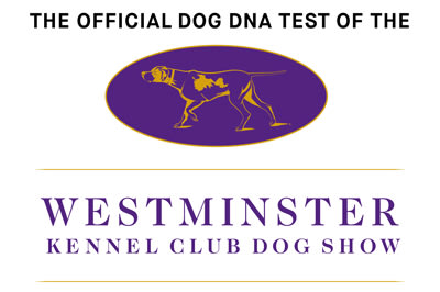 official dog dna test of the westminster kennel club dog show